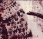 mulecd08_2